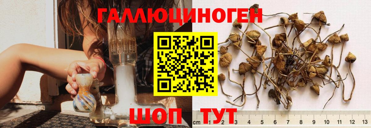 купить наркотик  Вход с VPN  Ярцево  Псилоцибиновые грибы мухоморы  Галлюциногенные грибы MAGIC MUSHROOMS 